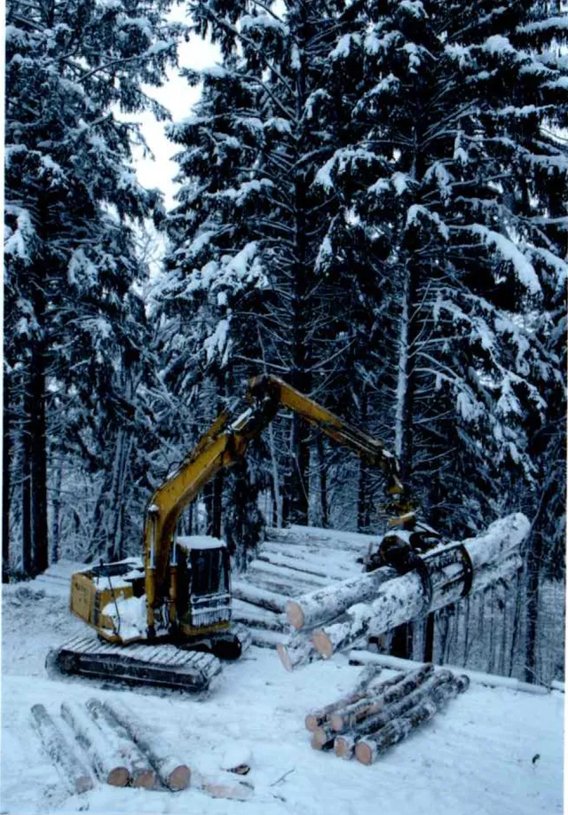 ギャラリー写真 1