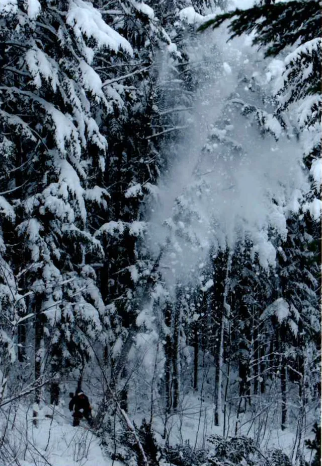 ギャラリー写真 2