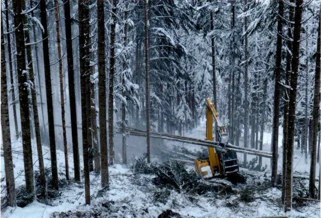 ギャラリー写真 3