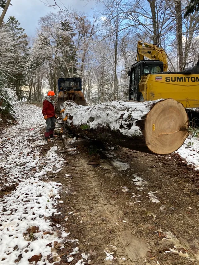 ギャラリー写真 5