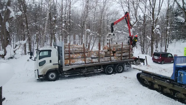 ギャラリー写真 7