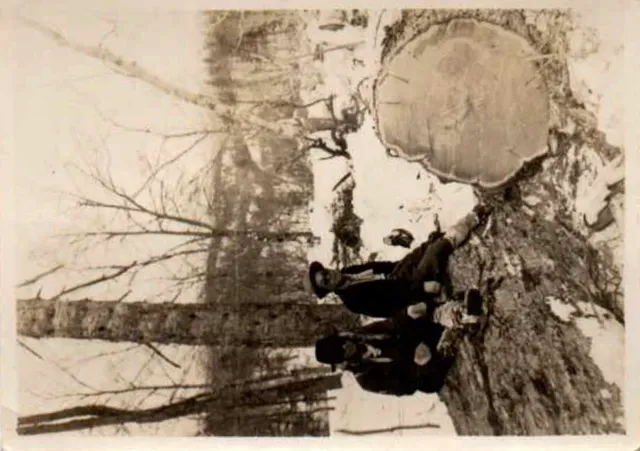 ギャラリー写真 9