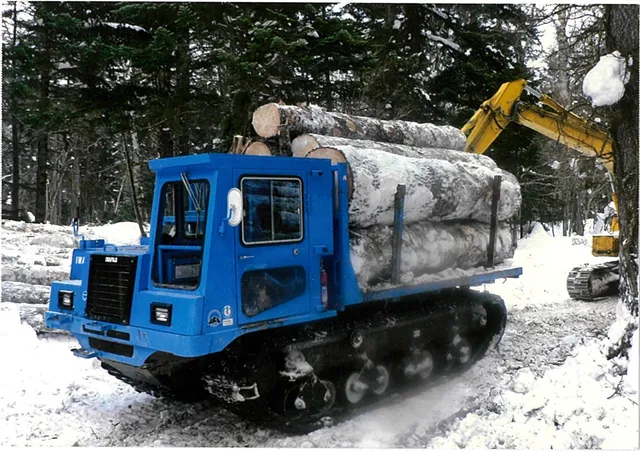 ギャラリー写真 12