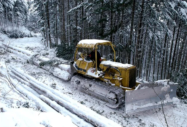 ギャラリー写真 13