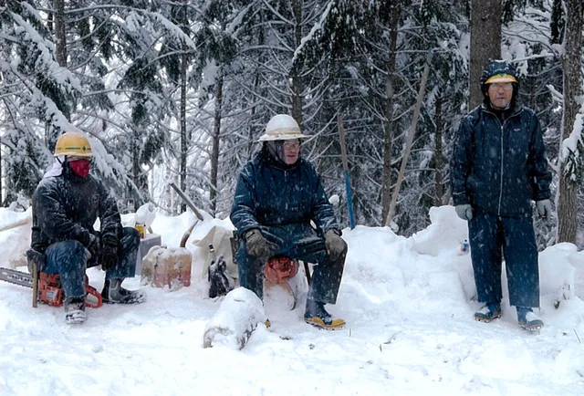 ギャラリー写真 14