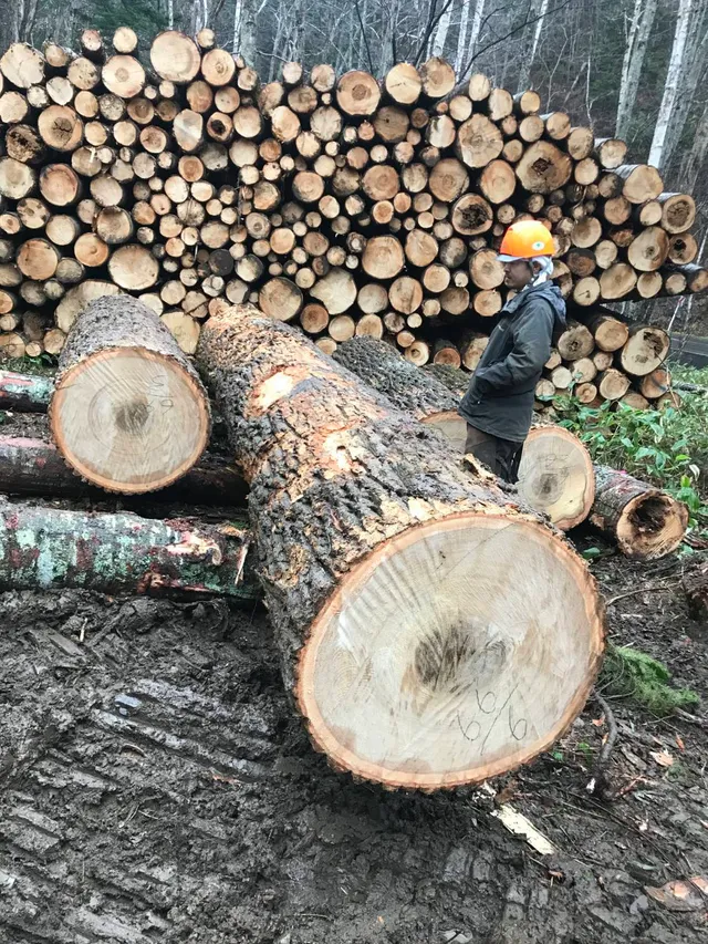 ギャラリー写真 16