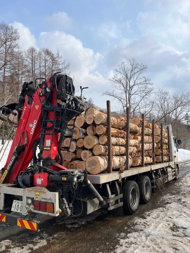 ギャラリー写真 17