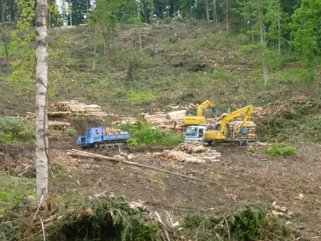 保残伐事業の作業風景 3