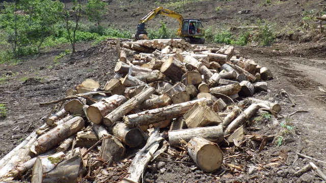 林地残材集材事業の作業風景 1
