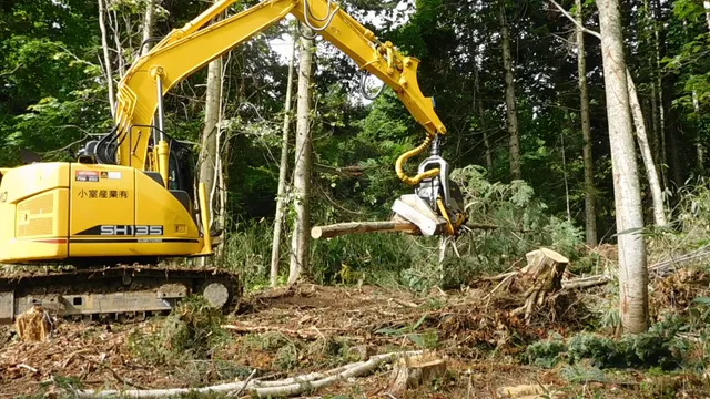 木材生産事業の作業風景 2