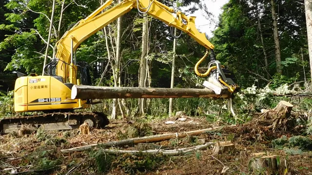 木材生産事業の作業風景 3